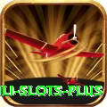 Winli Slots Master Pro v1.6.1